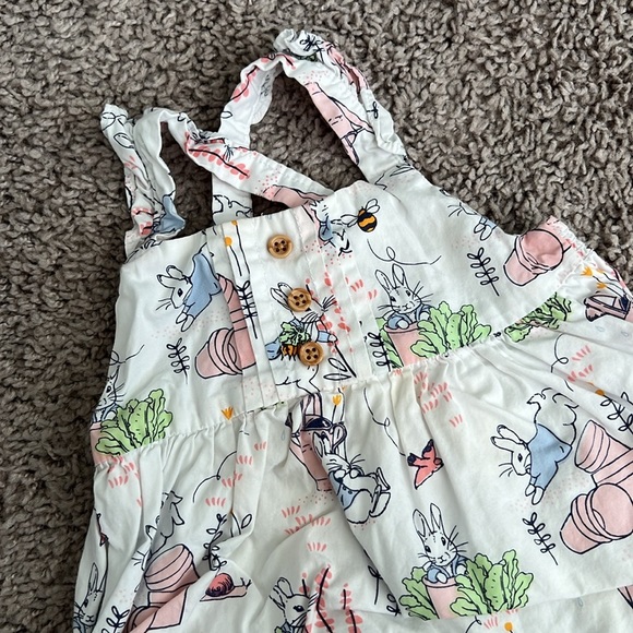 Gymboree Baby Peter Rabbit Bubble Onesie Romper - Picture 2 of 7